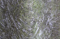 New Hutton fibreglass roof work